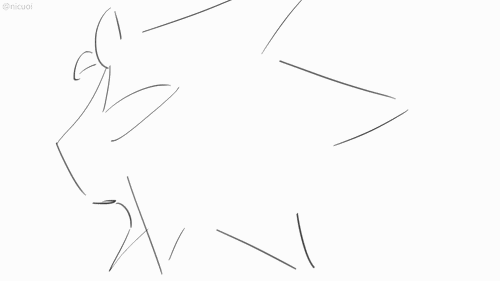 Young Sumi Fight